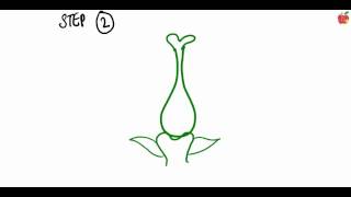 Diagramma - Episode 2 : Longitudinal Section of a Flower