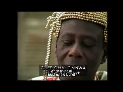 The Drilling Fields 1994 (Glenn Ellis)