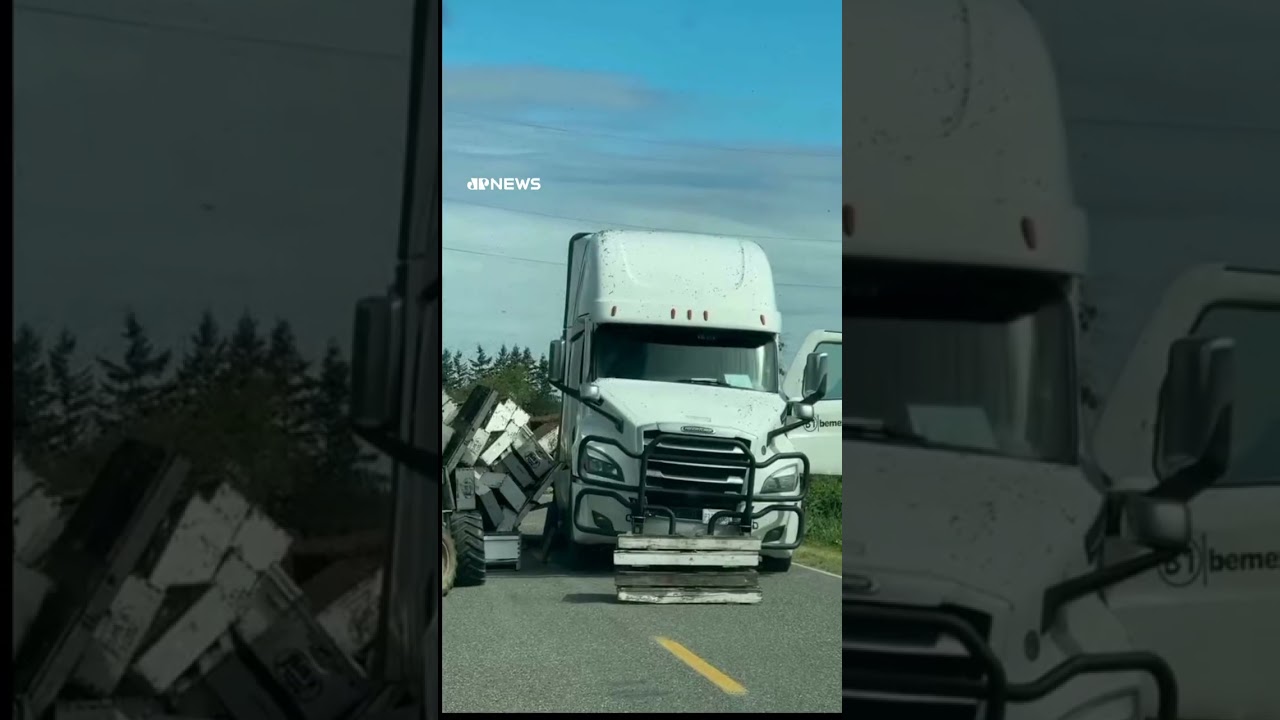 Cerca de 250 milhões de abelhas escapam após acidente com caminhão nos EUA #shorts