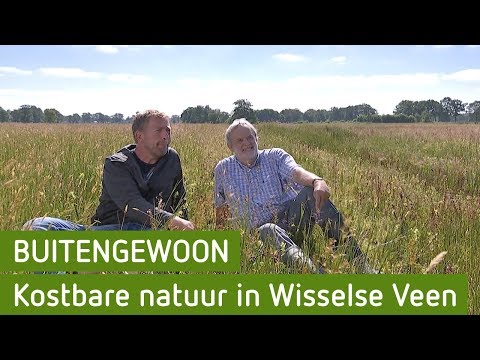 Kostbare natuur in Wisselse Veen | BuitenGewoon 1 augustus 2019