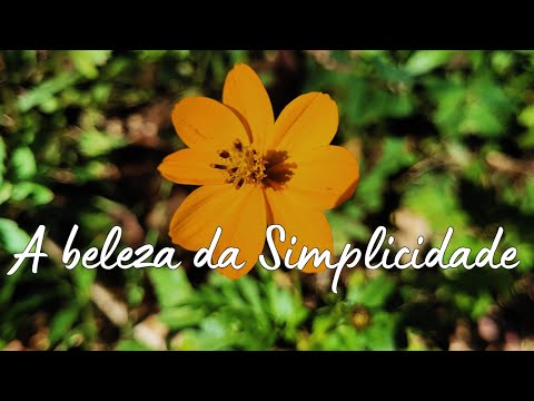 Como ter uma vida cotidiana simples?✨ Criando um lar tranquilo e acolhedor 🌷