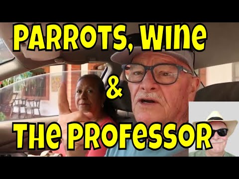 Charalá Quest: Parrots, Vineyard Lunch & Prof Tales
