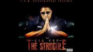 BIG PUP - The Struggle