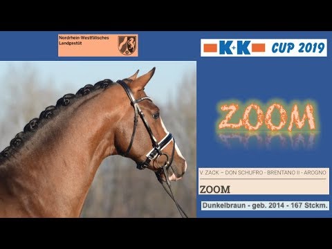 Zoom @ K&K CUP 2019