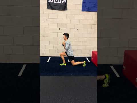 Reverse Lunge and Kick
