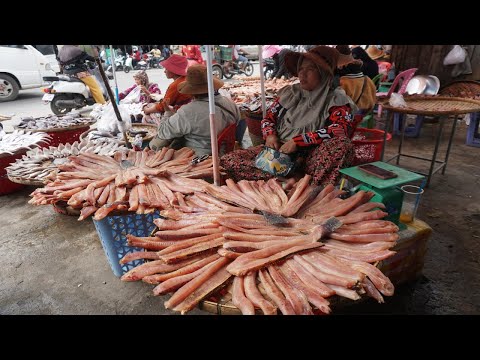 Cambodia Dry Fish Market Show - Every Day Activities Of Vendors Selling Dry Fish & Alive Fish
