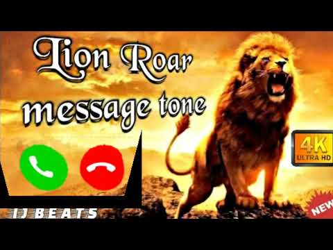 lion Notification ringtone best message tone sms tone sms ringtone 2020360p 3 1080p