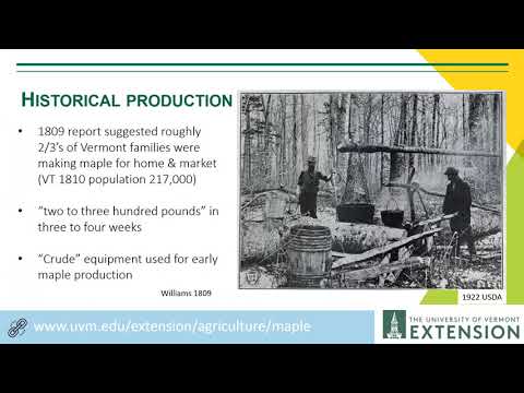 EEE: Timeless and Thoroughly Modern - Maple Production in Vermont 9/24/2021