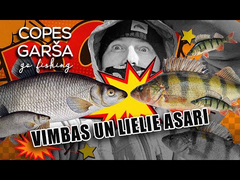 COPES GARŠA -S4E02 - VIMBAS ON ANGLING ROD AND BIG PERCH!
