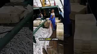 Did you know that this is how most of the fish is caught? 🤯