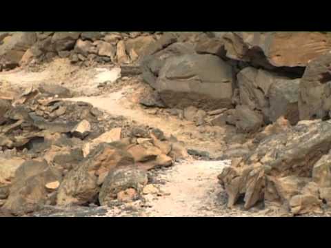 The Desert fathers english version