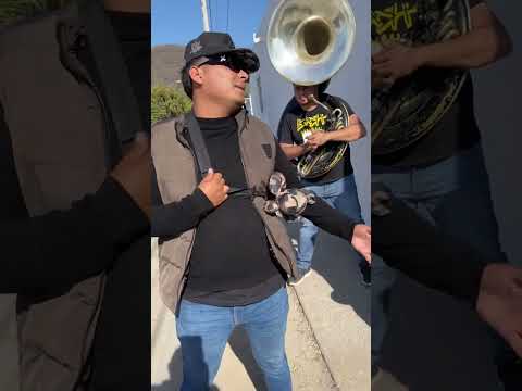 La banda que se sabe Todas.  (the Navarretes show)