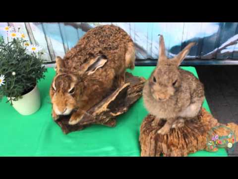 40 Jahre Ferienspiele