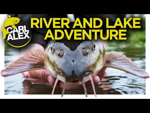 RIVER ADVENTURE! (Carp, Chub & Barbel)