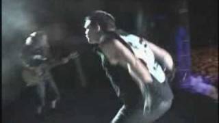 El Son Del Dolor.- La Cuca Desde Guadalajara