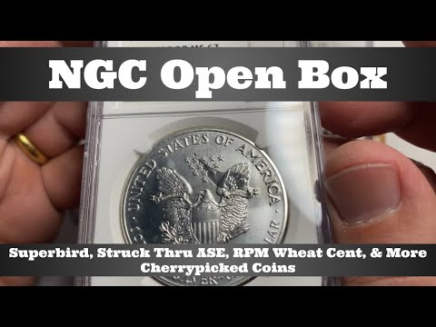 NGC Open Box - Superbird, Struck Thru Silver Eagle, RPM Wheat Cent, & More - Cherrypicked Coins