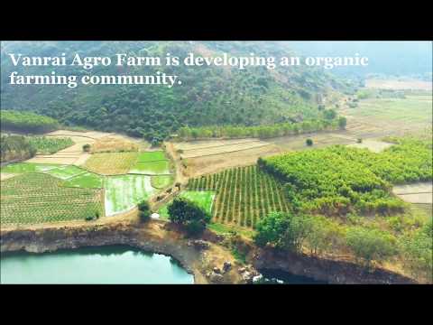 Organic Farming And Dairy Farm With Land...