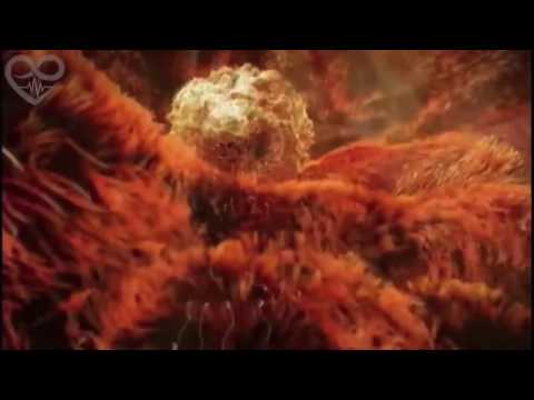 Miracle of Life - 9 months in 4 minutes