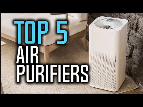 ✅ Top 5: Best Air Purifiers 2022 [Tested & Reviewed]