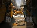 Cat Vs Dog Epic Food Truck Chase Rooftop Escape
