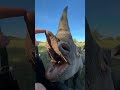 Look At The Set Of Teeth On This Black Rhino Female Wildlife