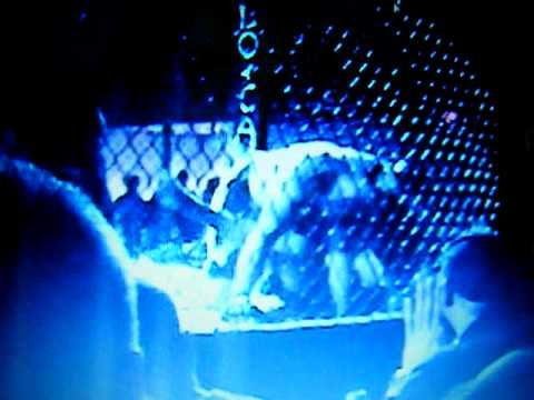 daniel maraboto m.m.a