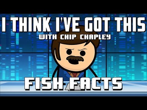I Think I've Got This With Chip Chapley - Episode 1 "Fish Facts"