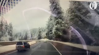 Falling tree nearly crushes ODOT vehicle driving on I-5