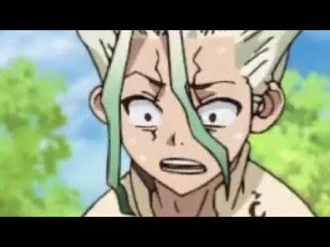 dr stone season one was unhinged