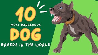 Top 10 Most Dangerous Dog Breeds in the World