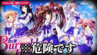 秋葉原で配られた「誰も知らない美少女ゲーム」の中身が気味悪すぎる｜Burnable Hearts!