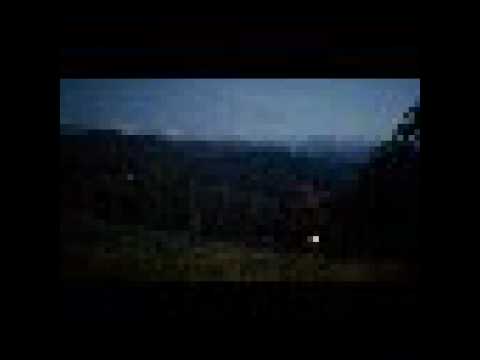 12 kroków Felka Alkoholika