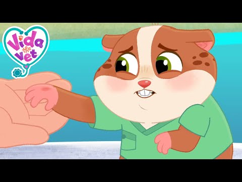 Will Popcorn Ever Play Guitar Again?! 🎸🤕 | Vida the Vet | Cartoons for Kids