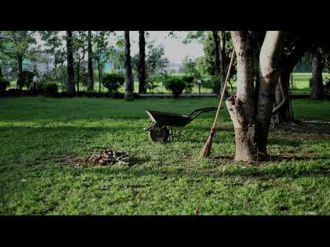 Liedboek lied  511 - Door goede machten trouw en stil omgeven