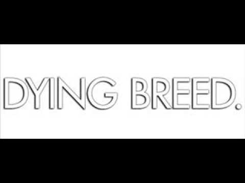 Digits-Tiny Dott Dogg