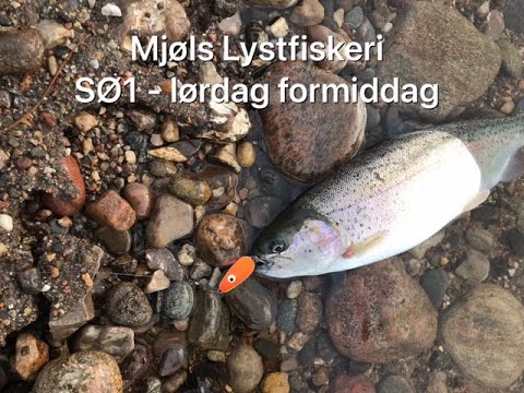 Mjøls Lystfiskeri Rødekro