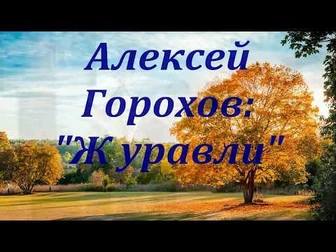 Журавли в исполнении гармониста Алексея Горохова