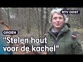Boswachter Ine gaat op jacht naar houtrovers | RTV Oost