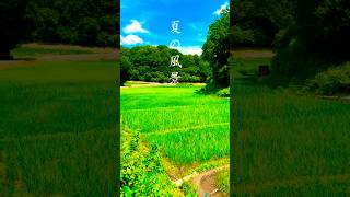 Download lagu 夏の始まり-久石譲『Summer』が似合う絶景- mp3