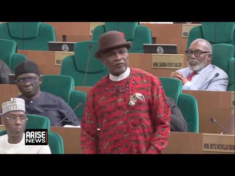 REPS HOLD SPECIAL PLENARY ON NATIONAL SECURITY