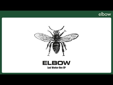 Elbow - Roll Call (Official Audio)