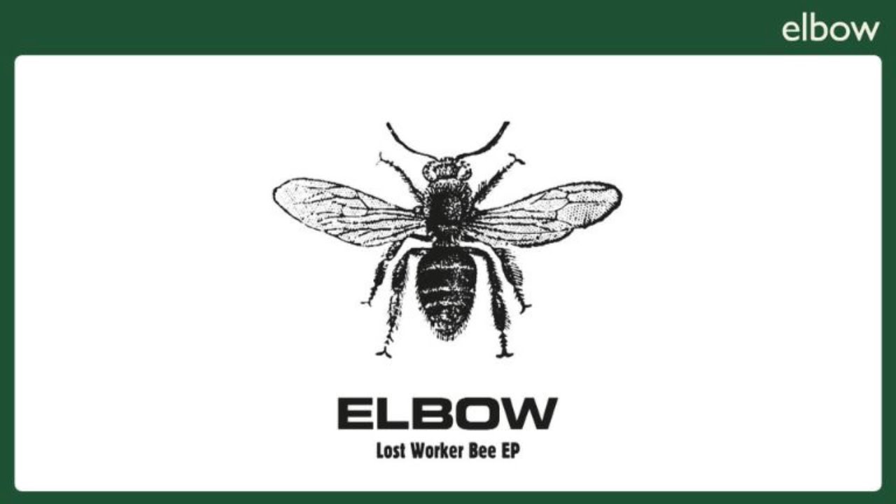 Elbow - Roll Call