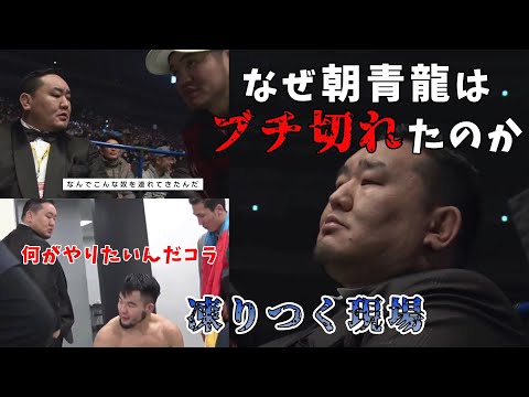 ディヤルバクル(トゥルキエ)近くのトラ。