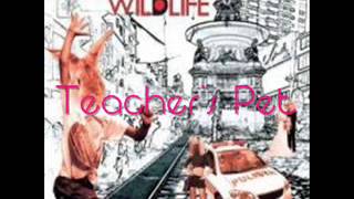 Pupil Wildlife   Teacher&#39;s Pet