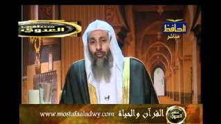 منوعات 616 القرآن والحياة20 09 2010