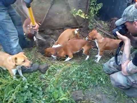 Severn Valley First Trip