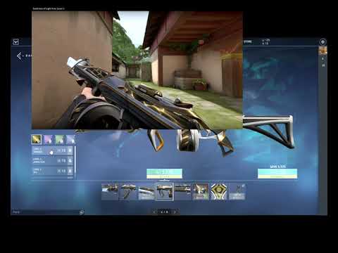 VALORANT   Sentinels Of Light Ares