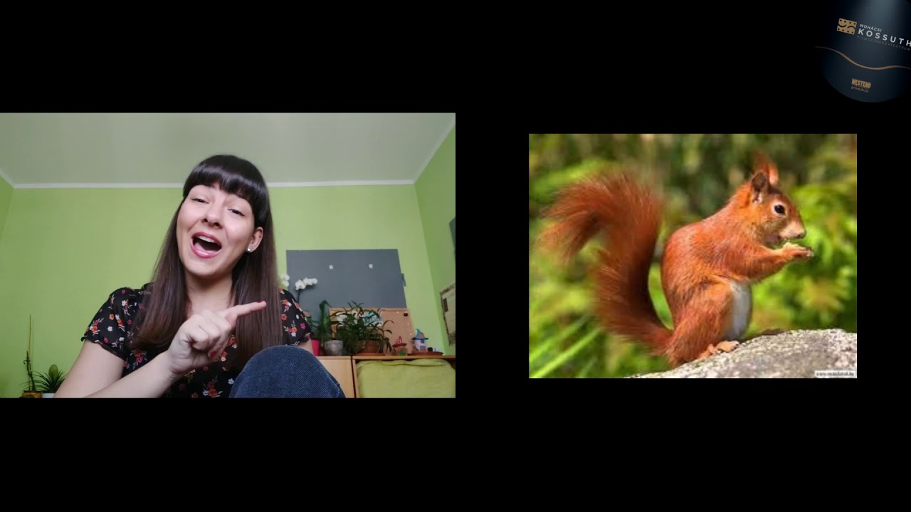 Zenés foglalkozás - 1.rész