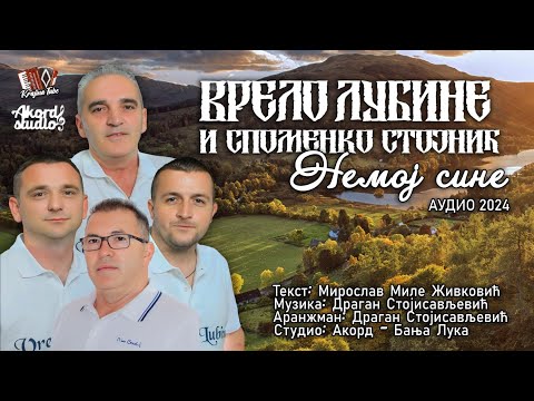 Vrelo Lubine i Spomenko Stojnić - Nemoj sine (Audio 2024)