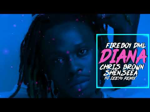 DJ LEEYO X FIREBOY DML X CHRIS BROWN X SHENSEEA - DIANA (2022)